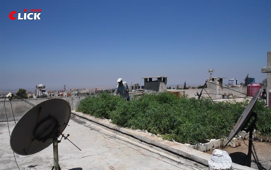 سوريون يزرعون أسطح منازلهم لتوفير غذائهم..!