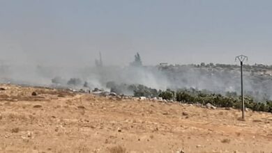الحرائق تلتهم 30 دونم من أشجار الزيتون في ريف حماة