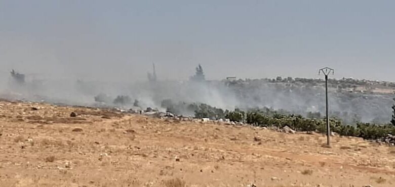 الحرائق تلتهم 30 دونم من أشجار الزيتون في ريف حماة