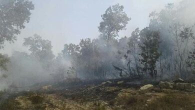 الحريق الحراجي في جبال الساحل السوري يتجدد