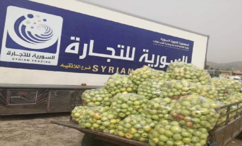 أمام ضعف استجرارها لمادة التفاح.. التجار والسماسرة يسحبون بساط التسويق من السورية للتجارة