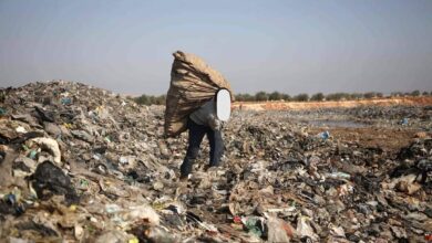جمع النايلون والبلاستيك مهنة قسرية للبعض في حمص