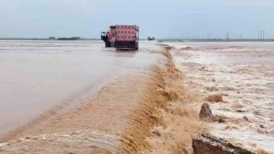 بعد أن جرفت السيول آلاف الدونمات الزراعية.. أهالي الرقة يطالبون بإعادة تأهيل الجسور والعبارات