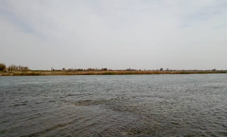 انخفاض منسوب نهر الفرات يؤثر سلباً على القطاع الزراعي في دير الزور