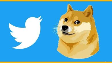 "تويتر" تستبدل عصفورها الأزرق بكلب بني