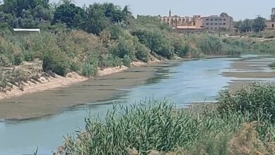 للمرة الأولى منذ سنوات.. تعزيل مجرى نهر الفرات الصغير بدير الزور