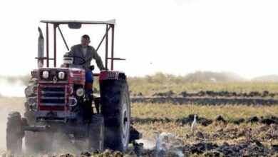 أصحاب الجرارات الزراعية في حماة يشتكون تعطل آلياتهم بسبب المازوت