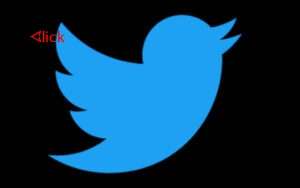 "هدفها المزيد من التضييق".. "تويتر" تعلن عن سياسة جديدة بخصوص التغريدات