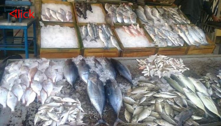 بعد ارتفاع أسعار اللحوم الحمراء والفروج.. سكان اللاذقية يجدون ضالتهم في السمك رغم حرارة الطقس