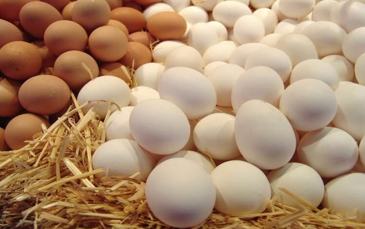 "البيضة بـ 2000 ليرة".. قلة في العرض وزيادة الطلب وارتفاع أسعار المحروقات أهم أسباب "فوضى" تسعير طبق البيض
