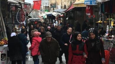 تركيا تكشف عدد السوريين الحاصلين على جنسيتها منذ بداية العام
