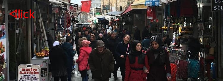 تركيا تكشف عدد السوريين الحاصلين على جنسيتها منذ بداية العام